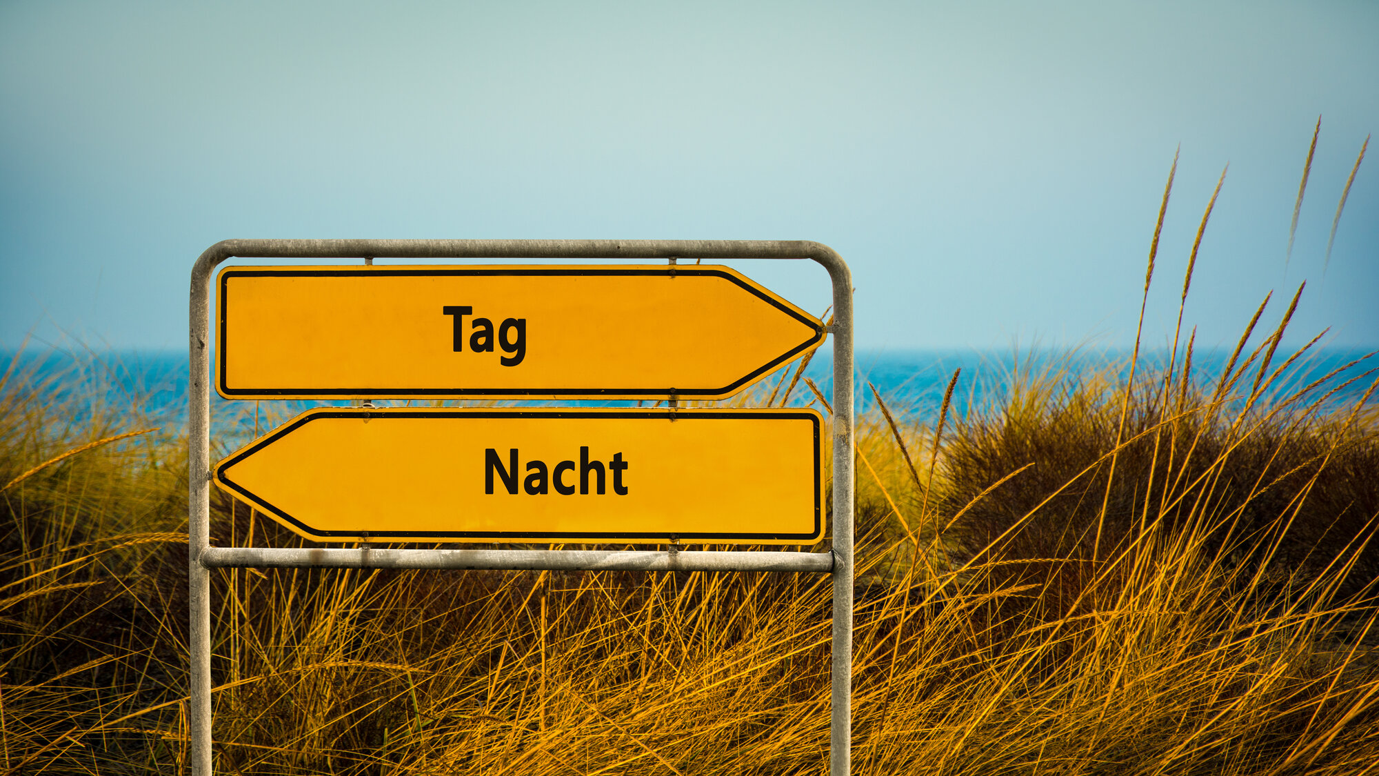 Lerche oder Eule? Unsere innere Uhr bestimmt unseren Alltag mit