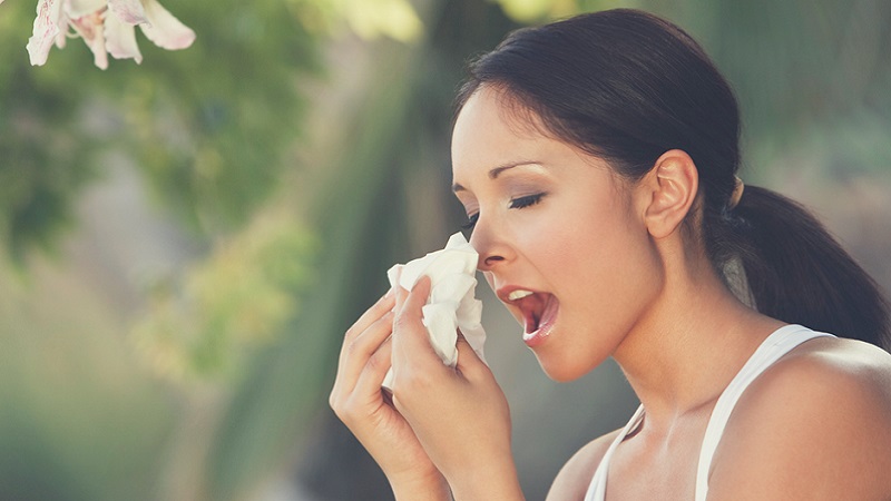 Pollen fliegen bis zu 400 Kilometer